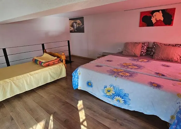 Damsi Loft * Тирана