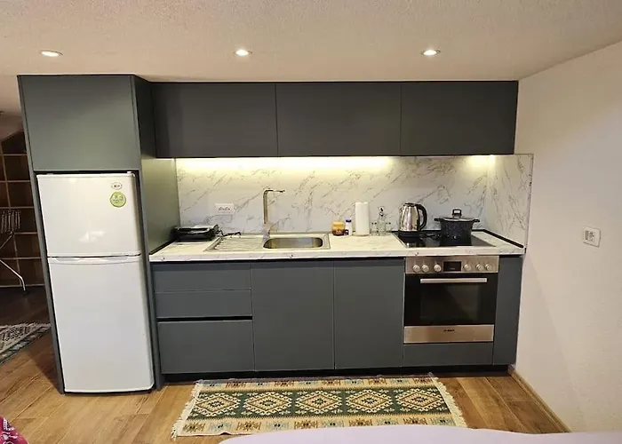 Lägenhet Damsi Loft *