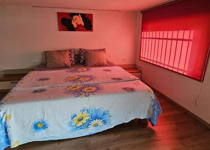 Damsi Loft Apartman *